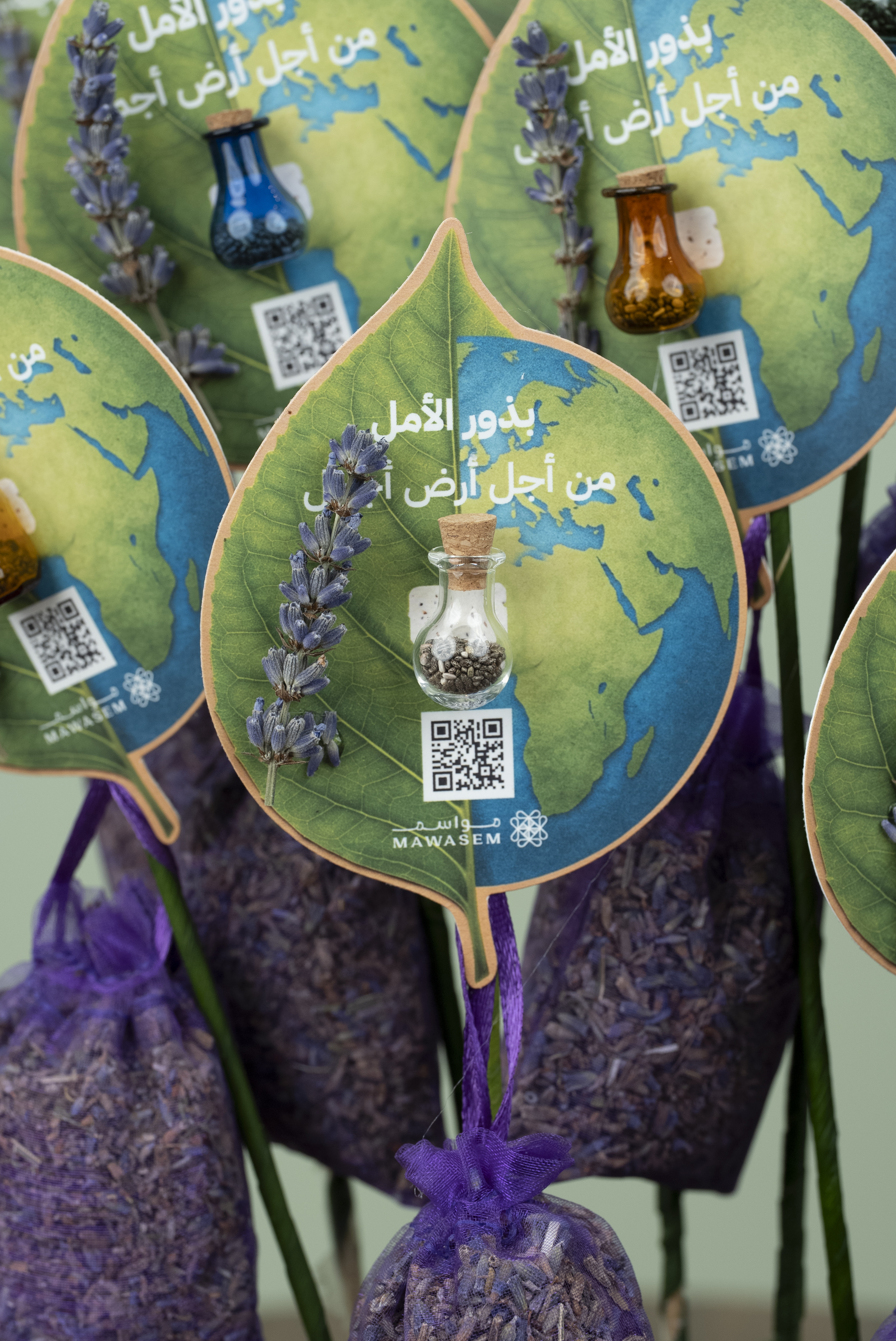 بذور الأمل