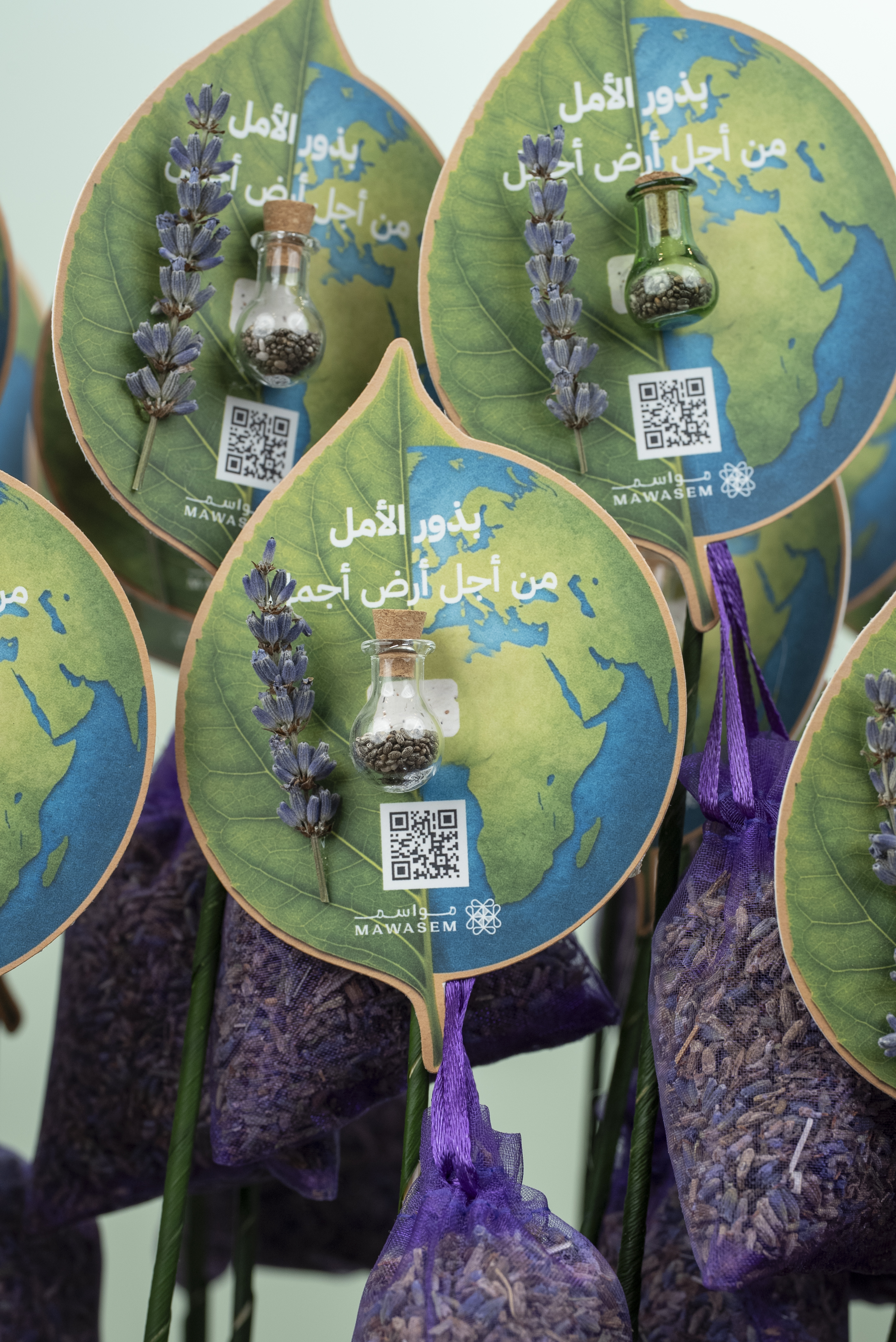 بذور الأمل