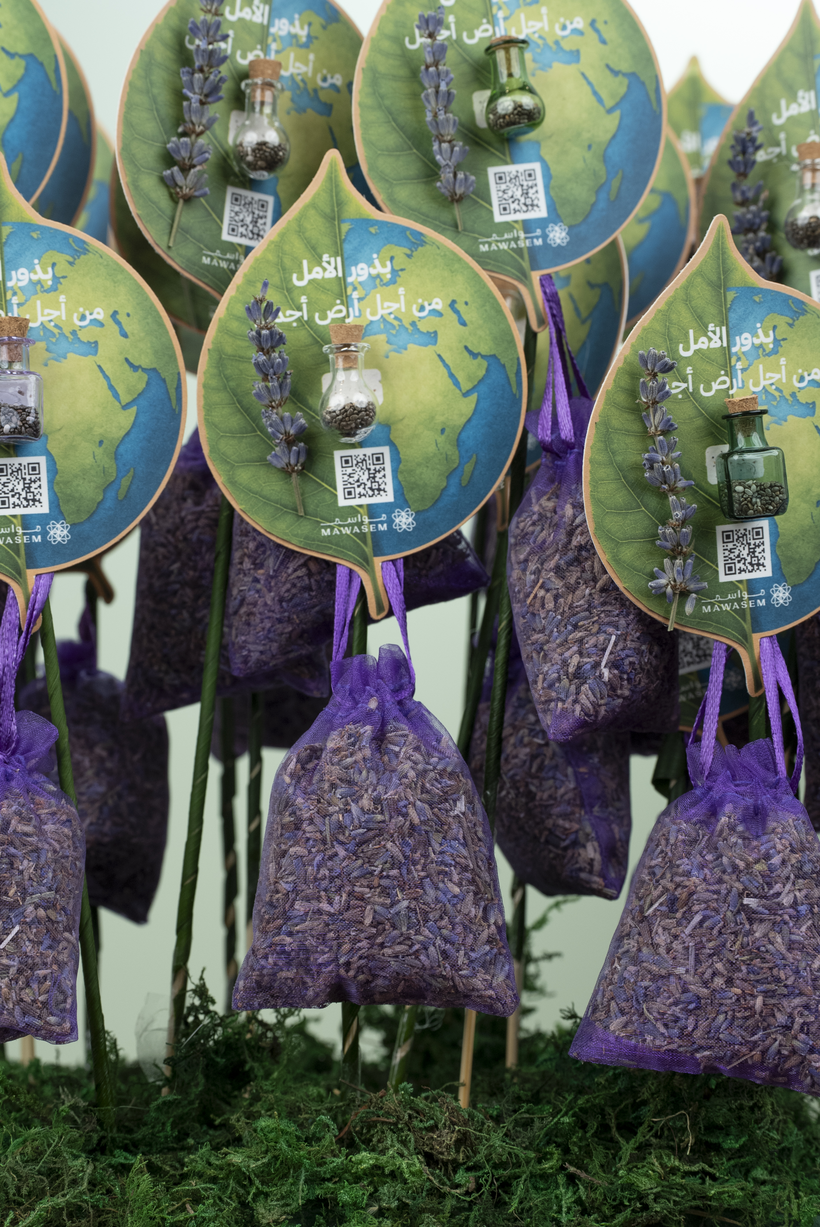 بذور الأمل