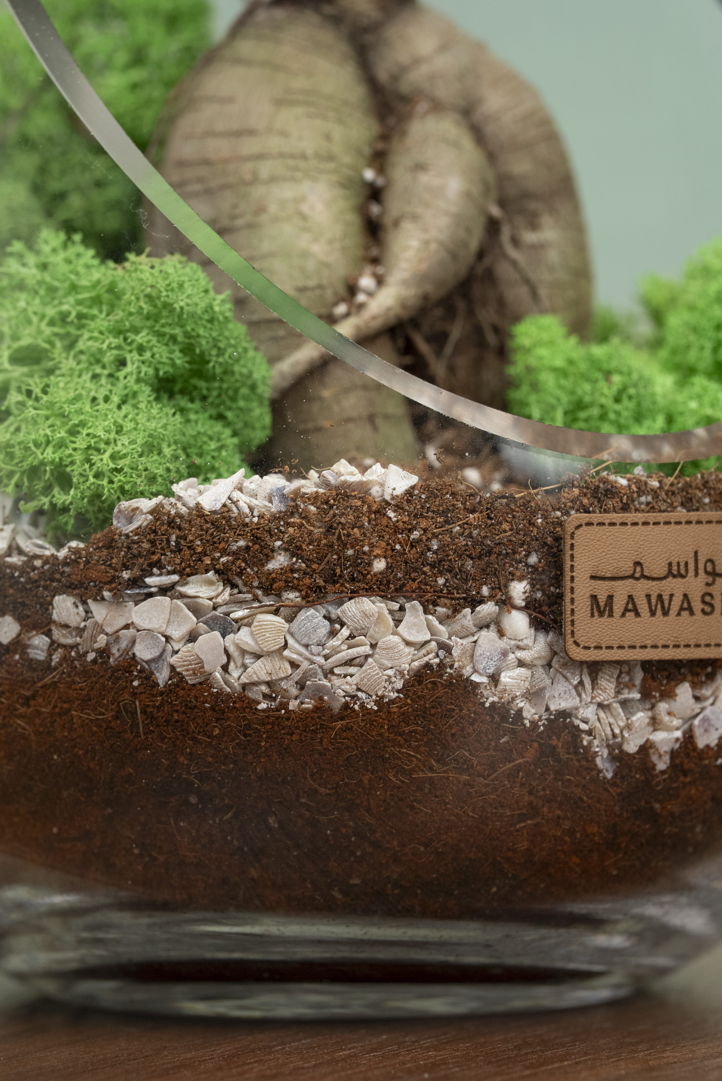 روح الأرض