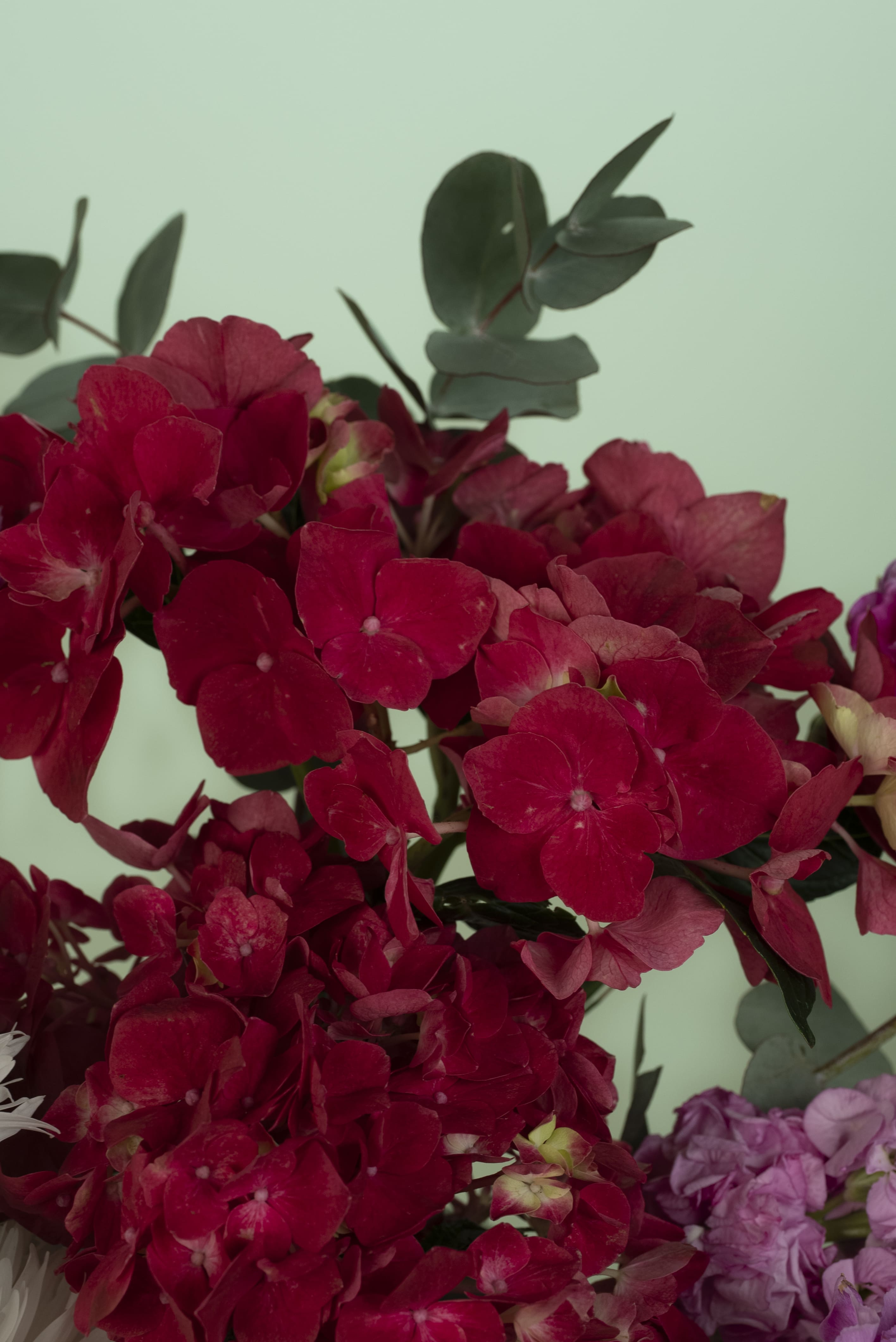 عطر التميز