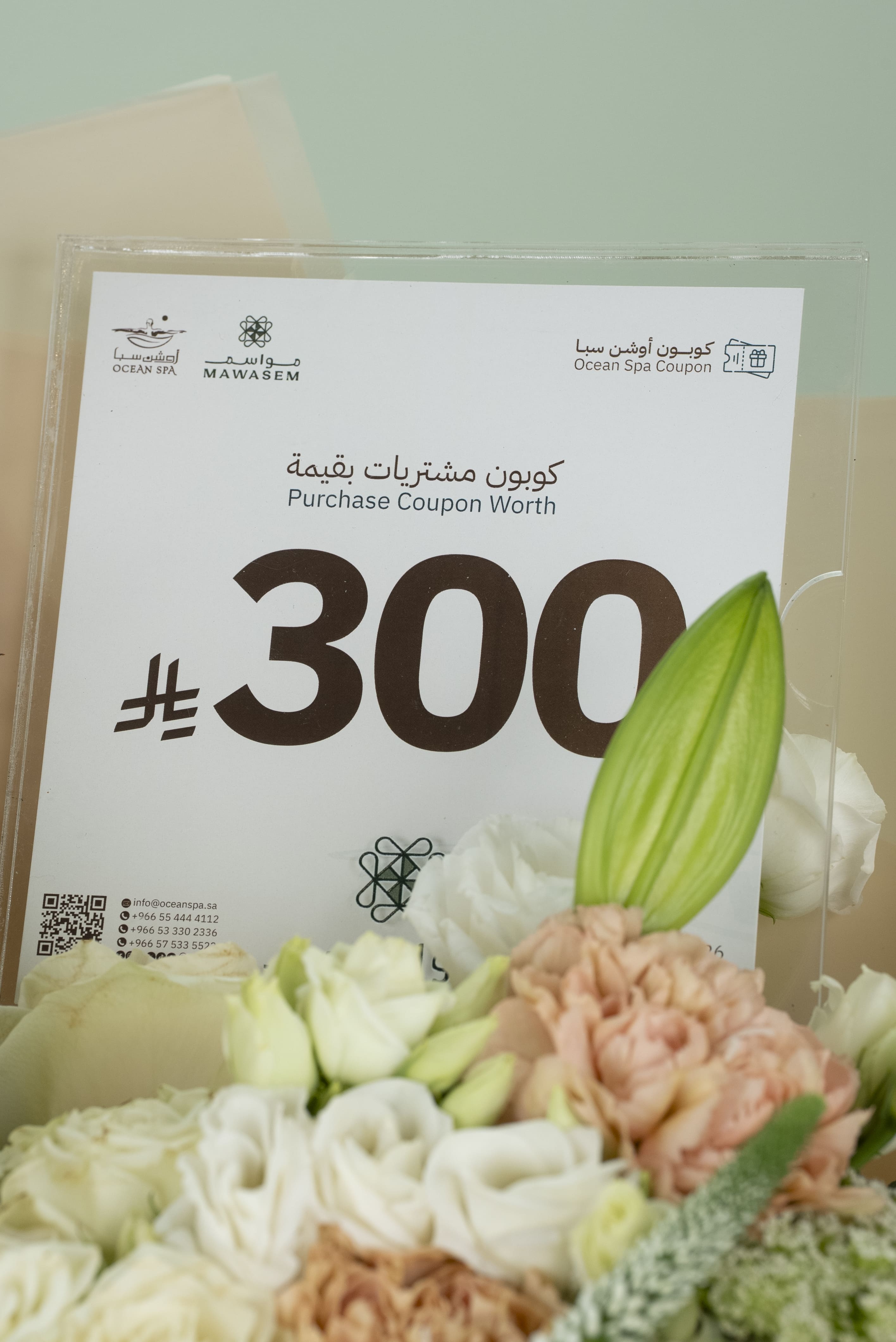 عودة ميمونة