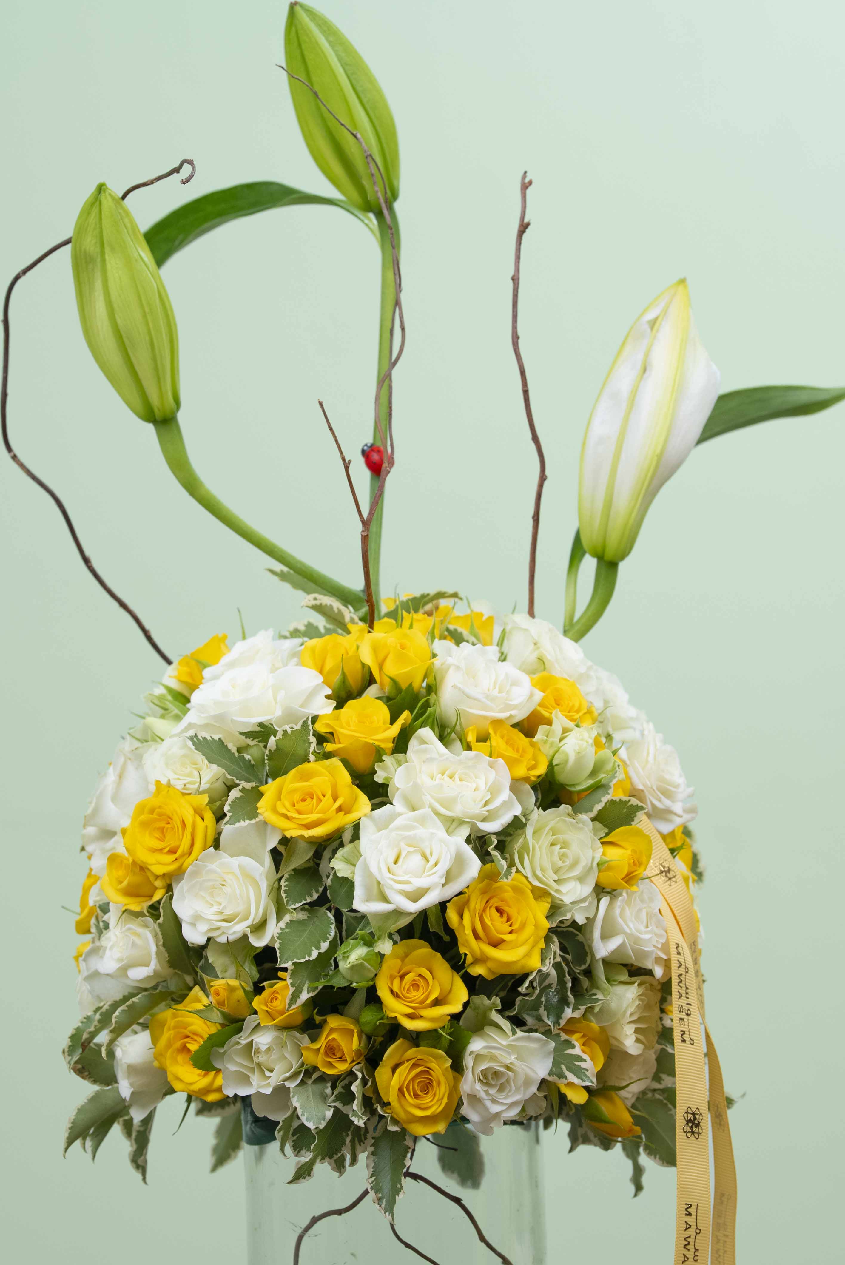 اشراقة العام