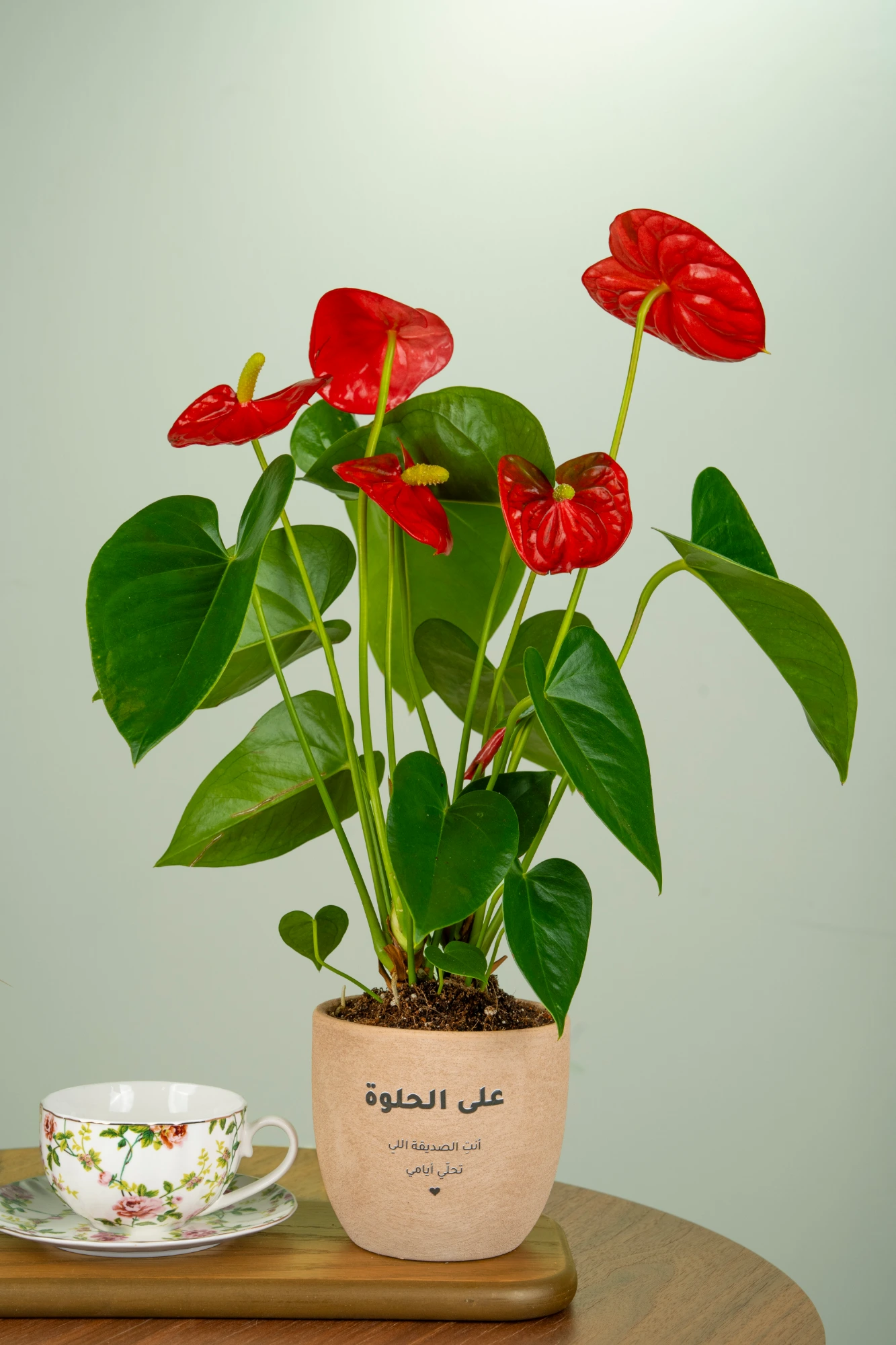 على الحلوة والمرة