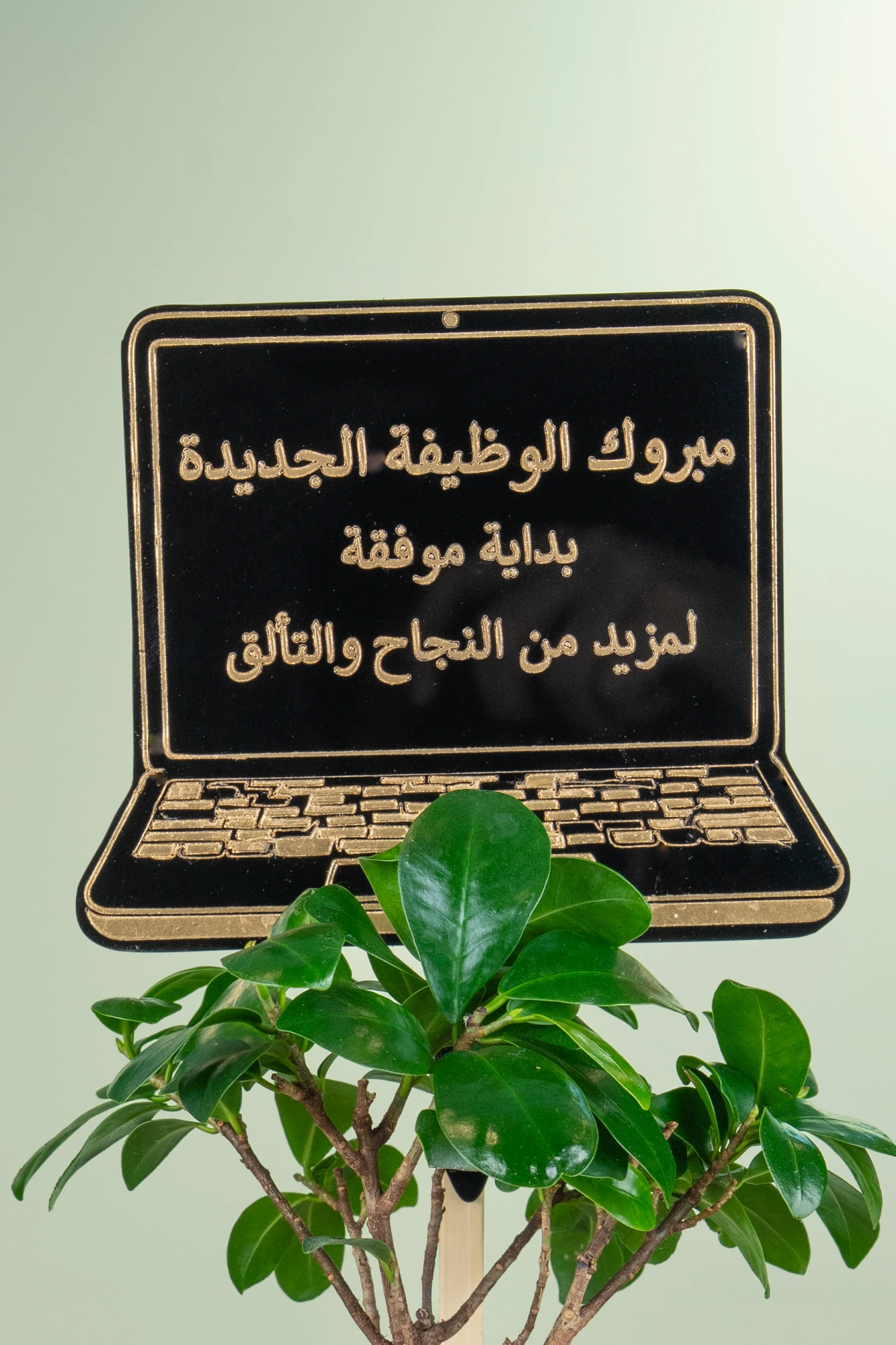 مبروك الوظيفة الجديدة شكل لابتوب 