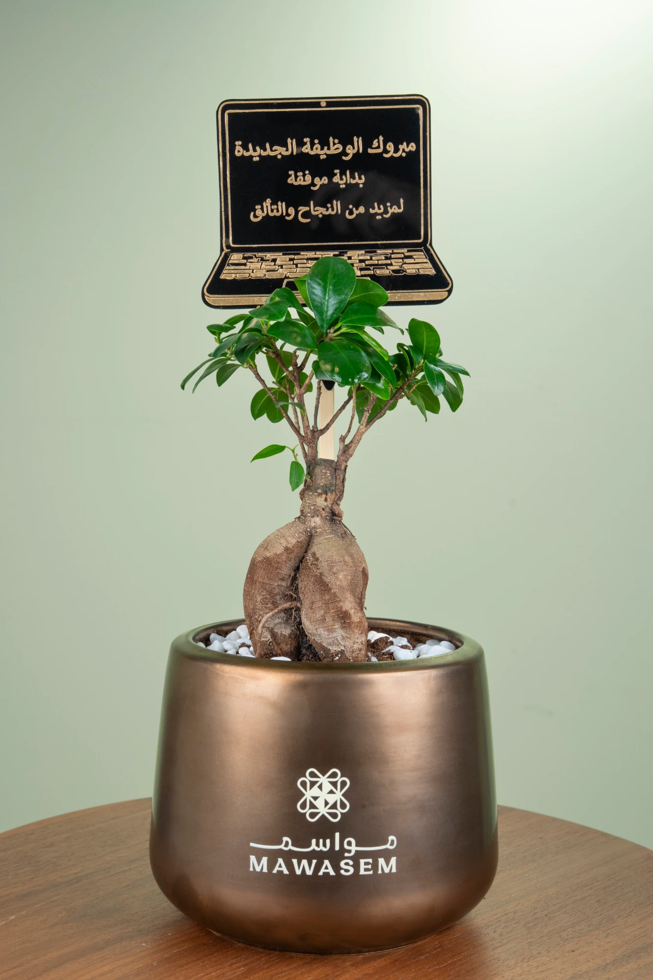 بداية التألق