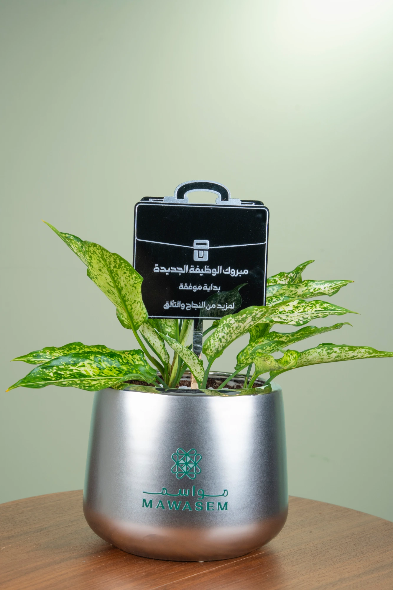 حقيبة النجاح