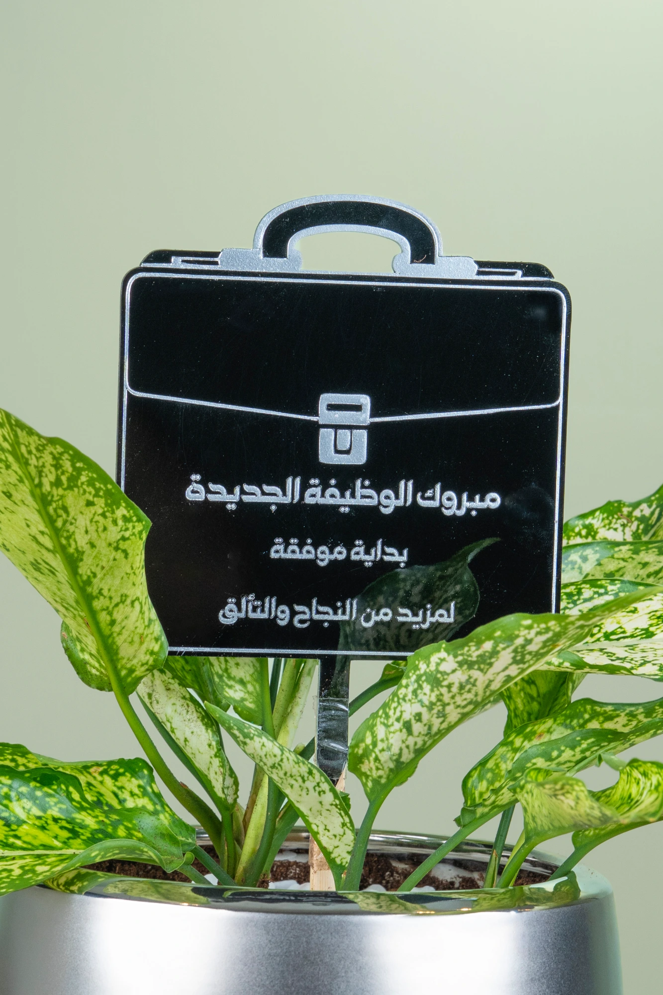 حقيبة النجاح