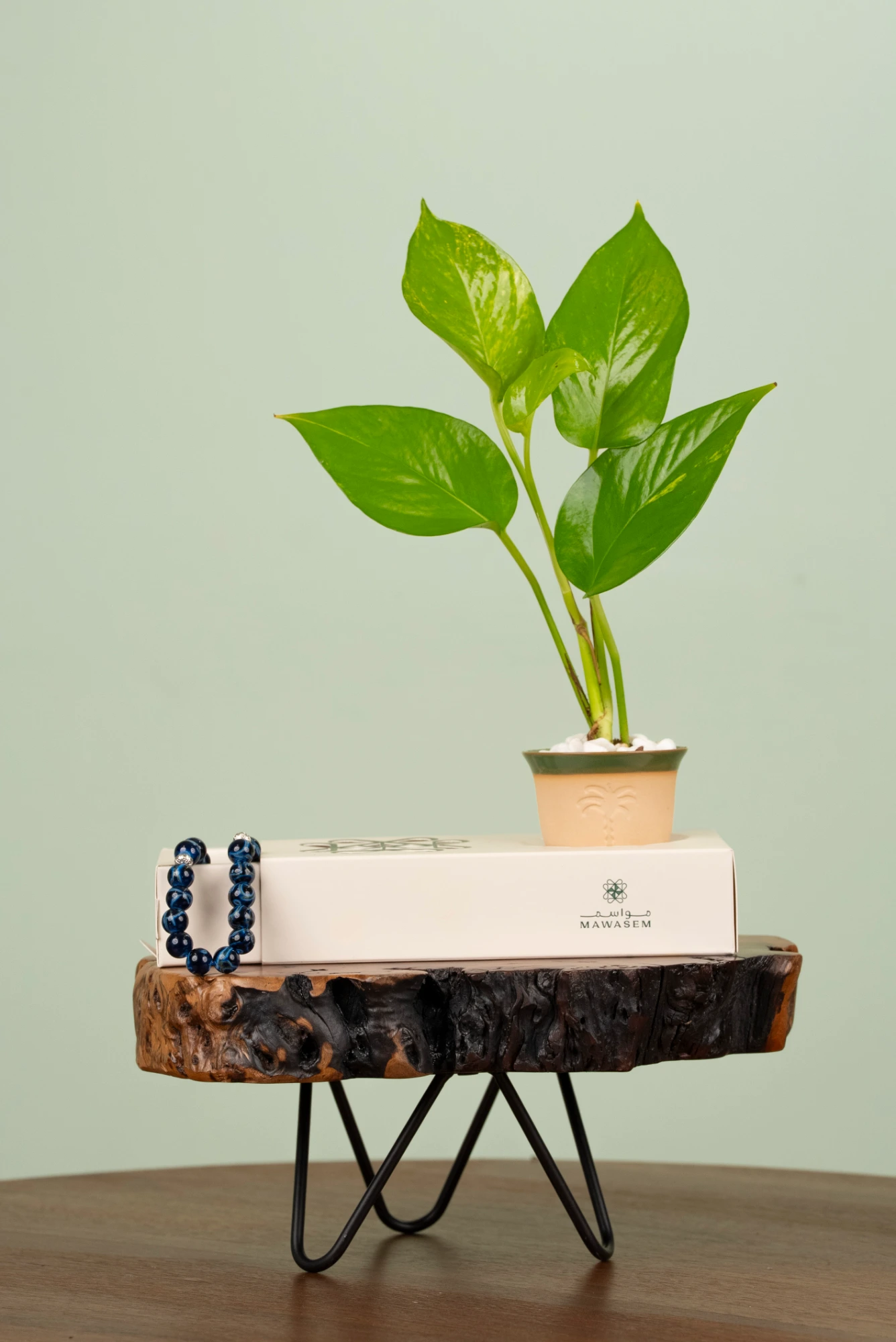 جذور وتراث