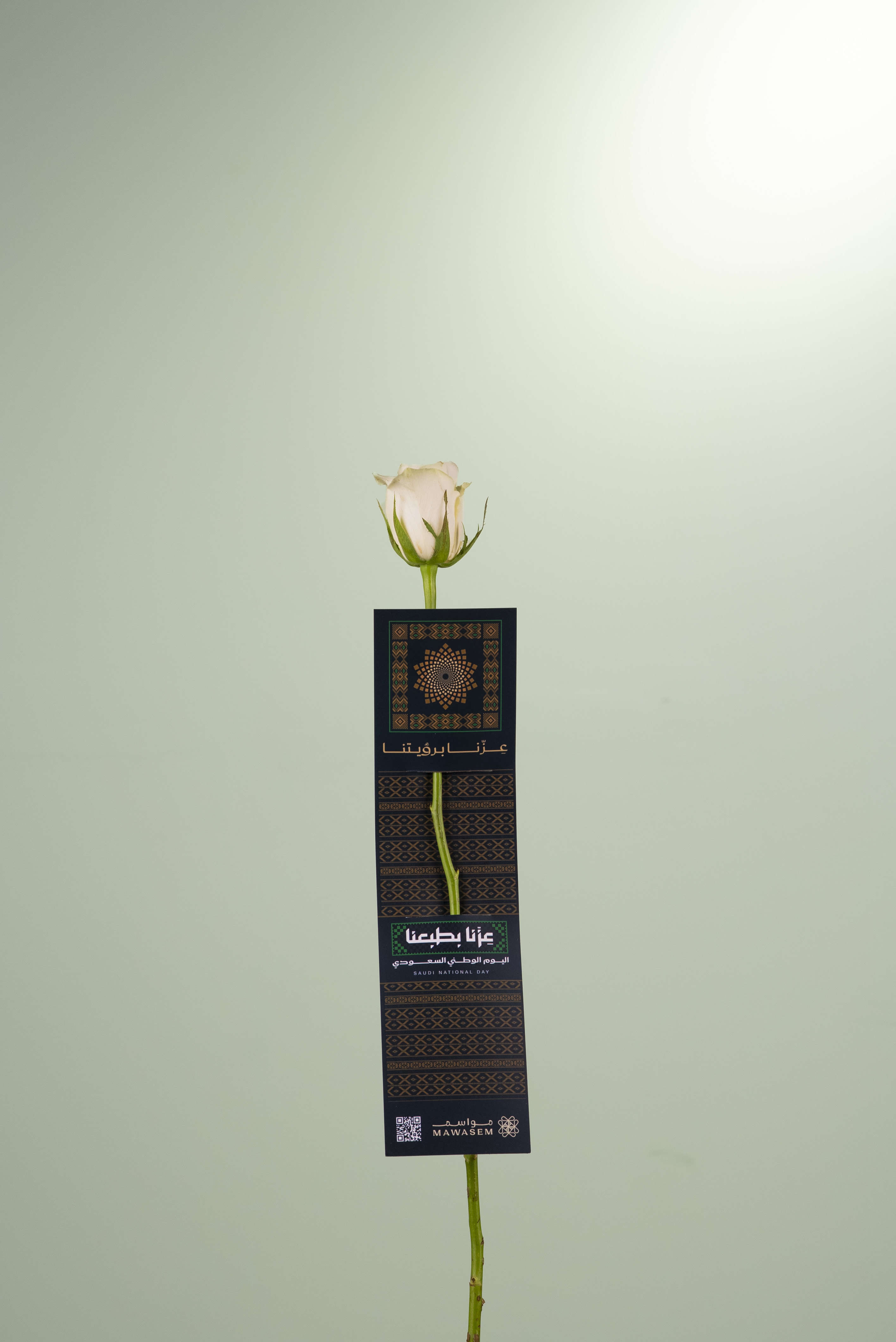  ورد الديار
