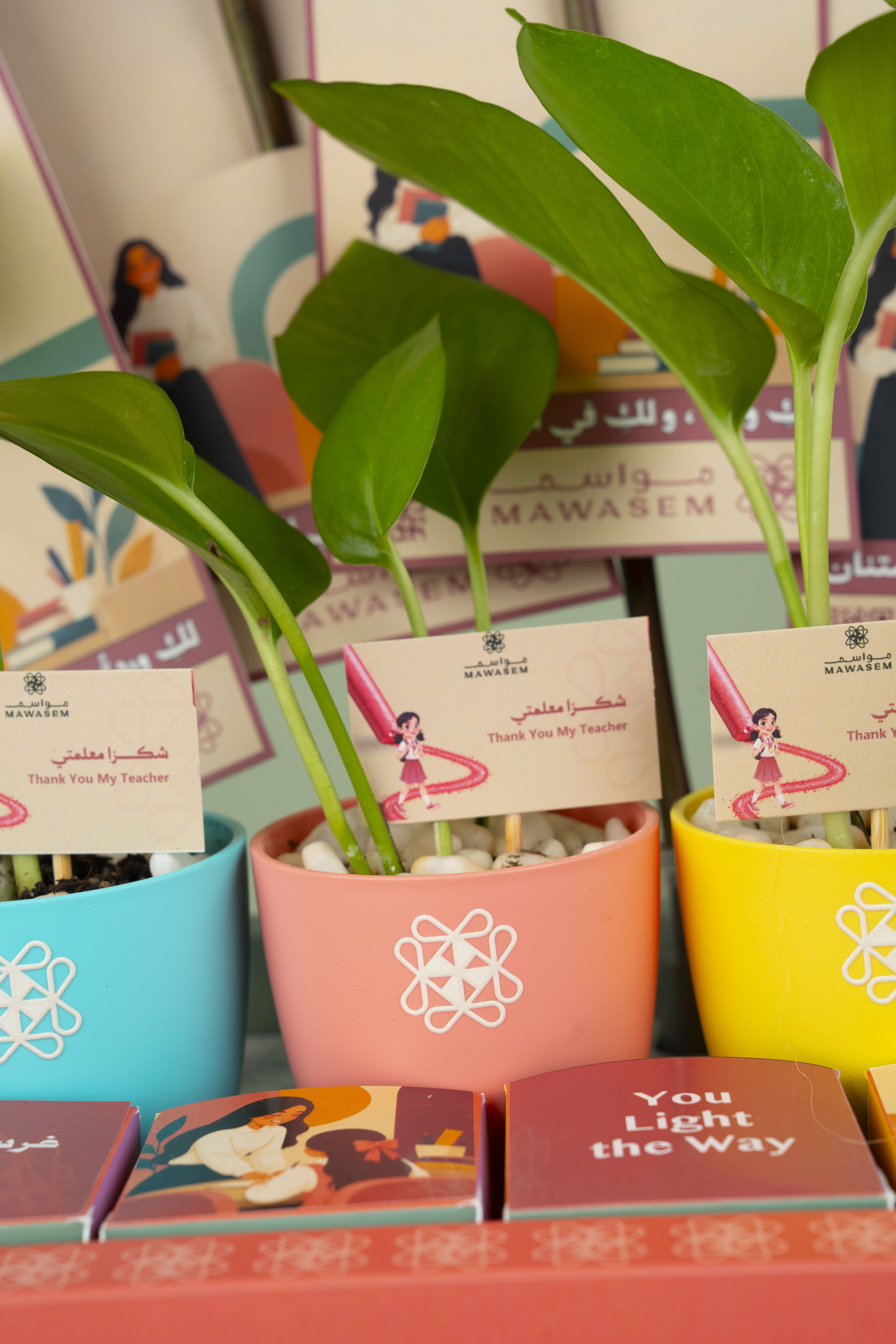 ألوان الشكر