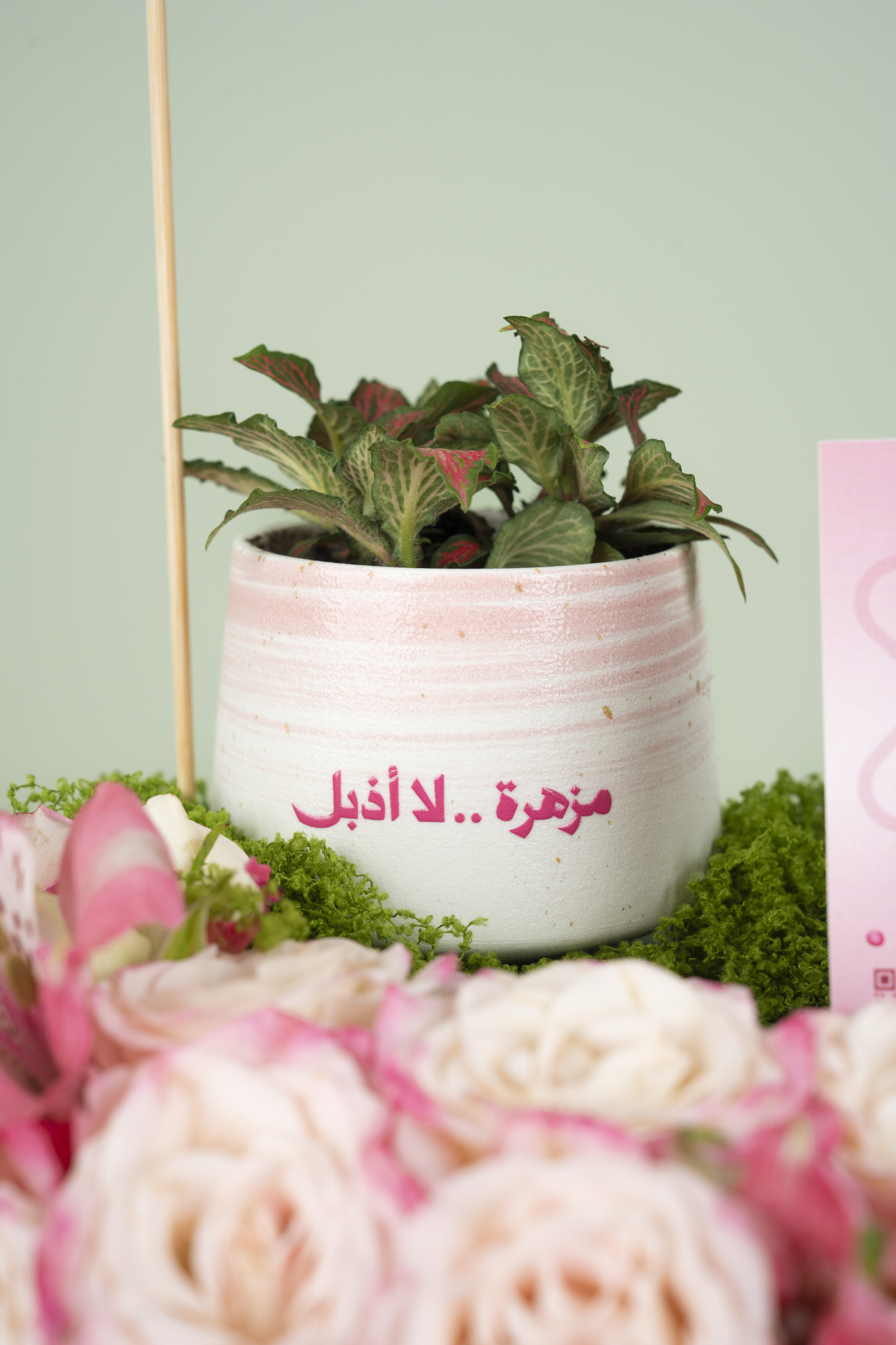 مساحة أمل