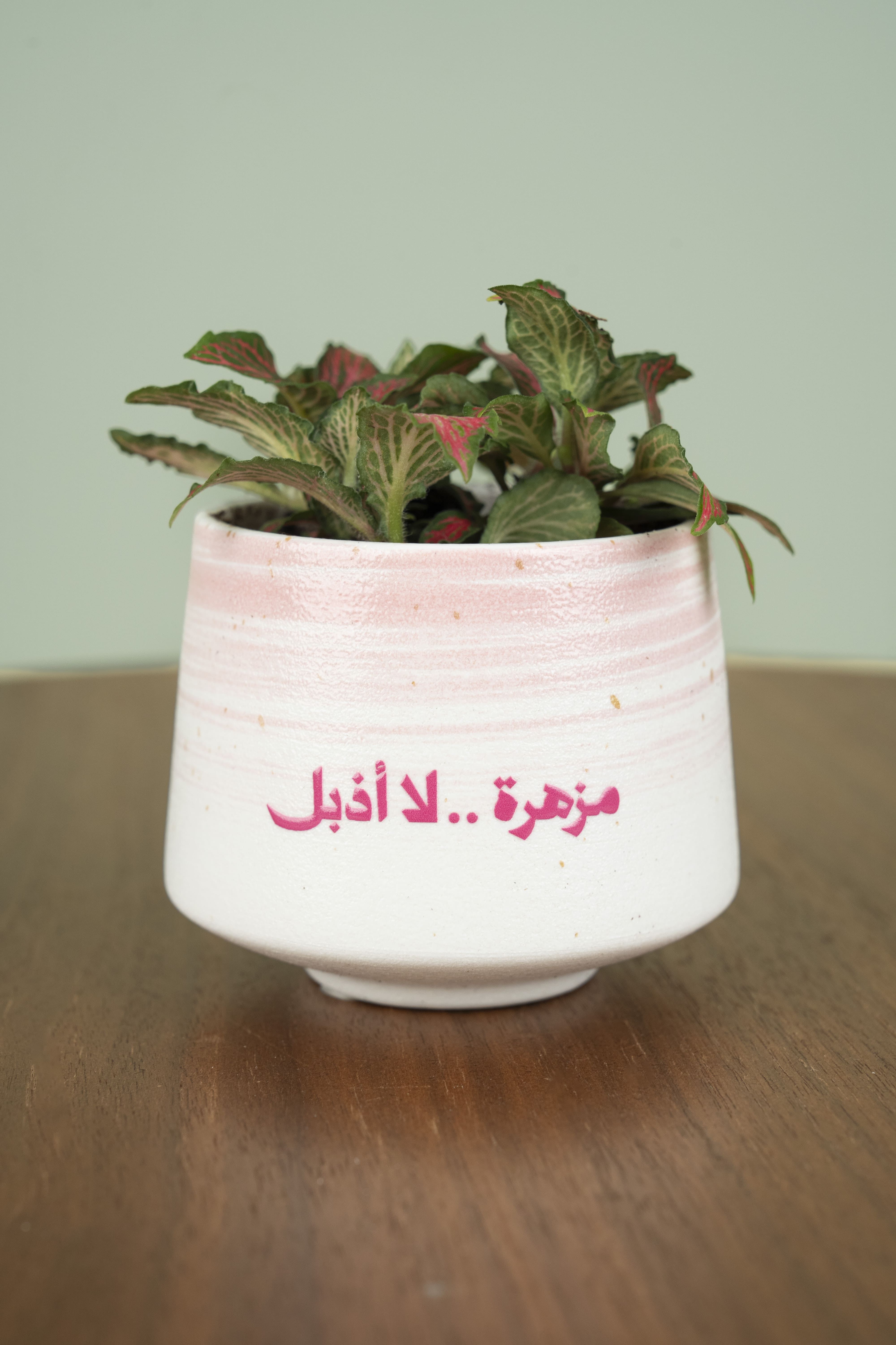 مزهرة لا تذبل