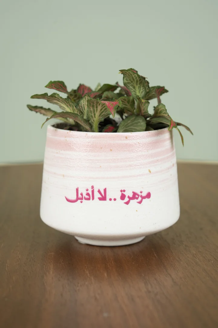 مزهرة لا تذبل
