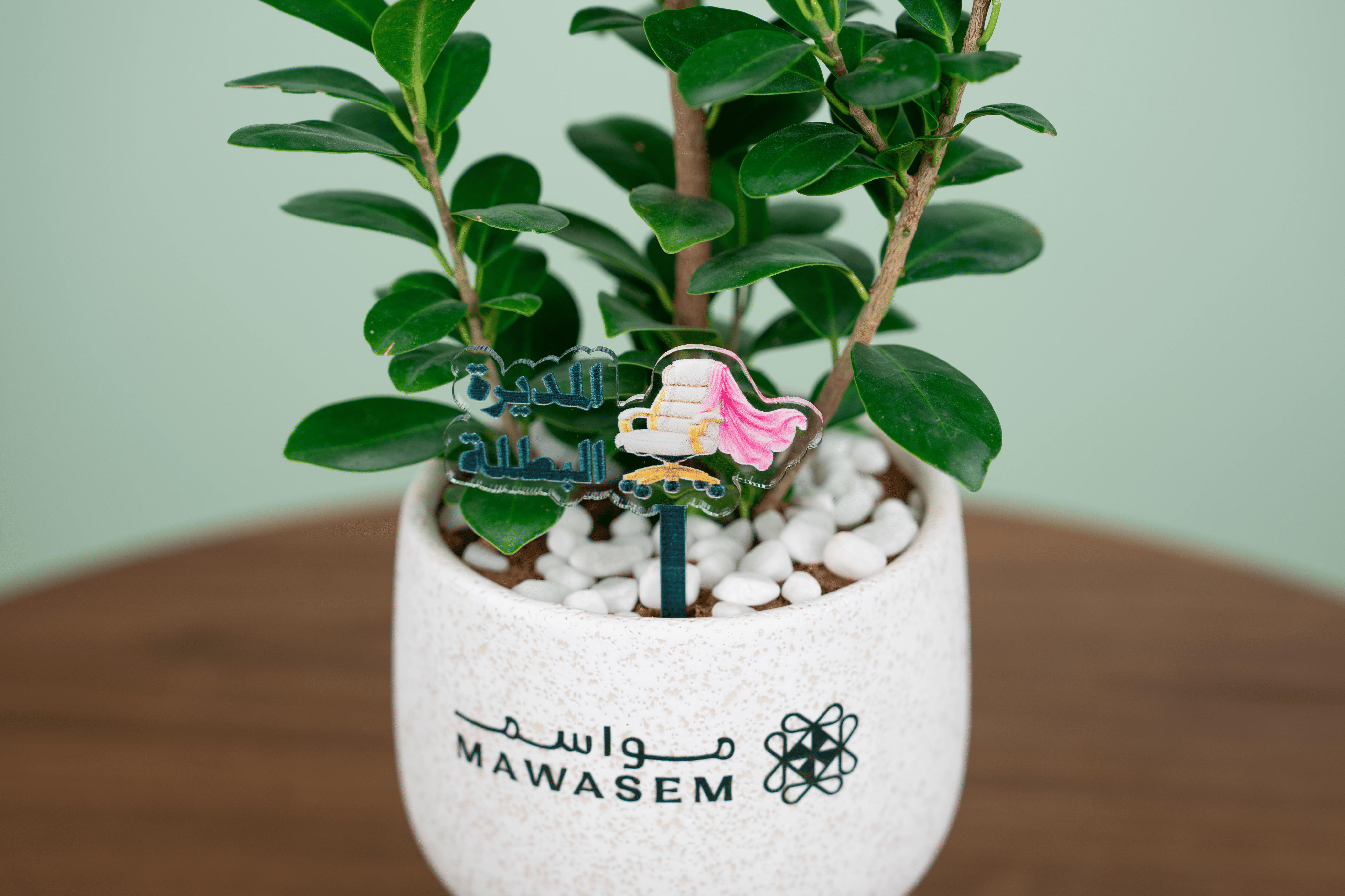 نبتة المديرة البطلة