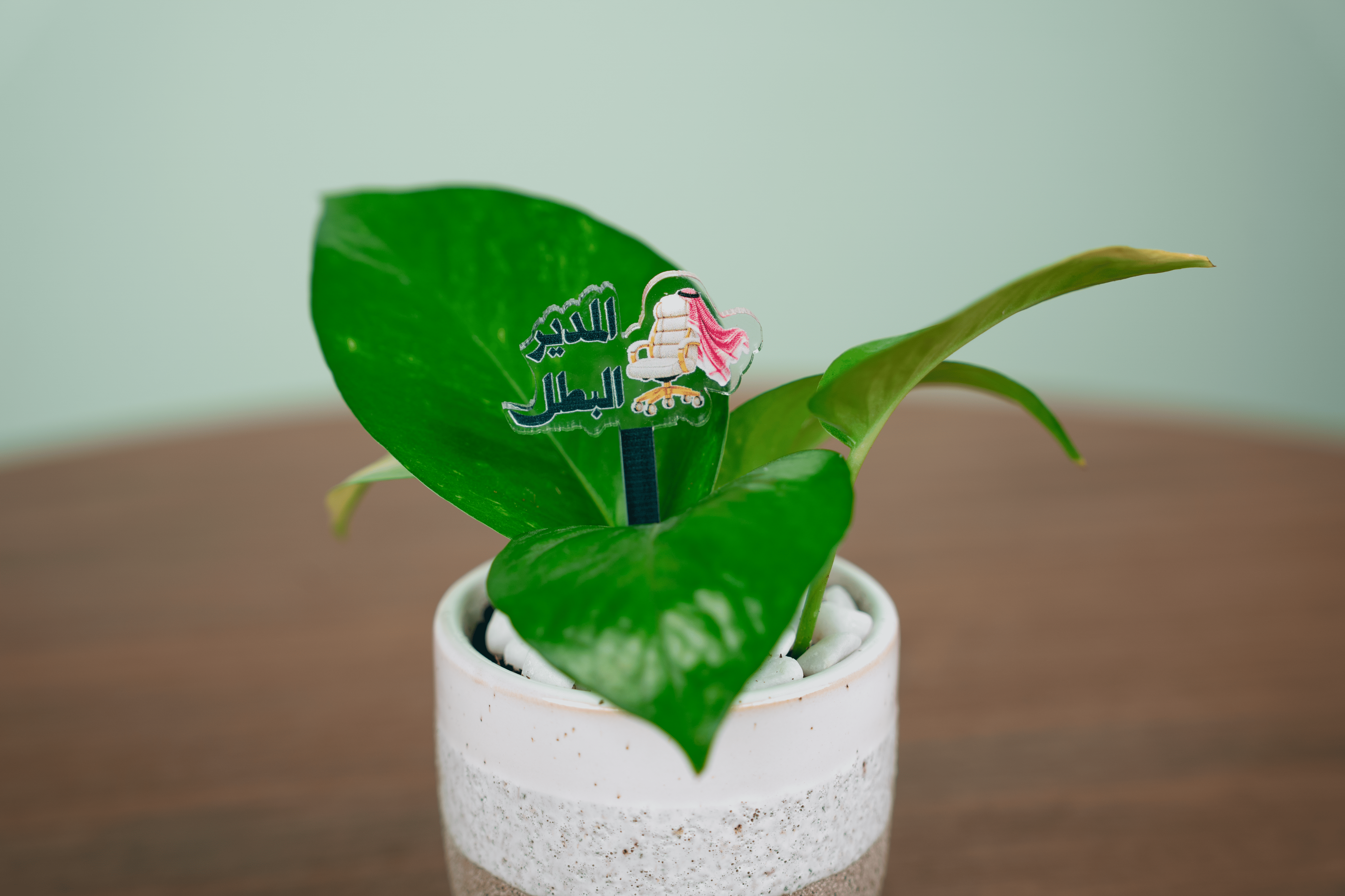 هدية المدير الاستثنائي