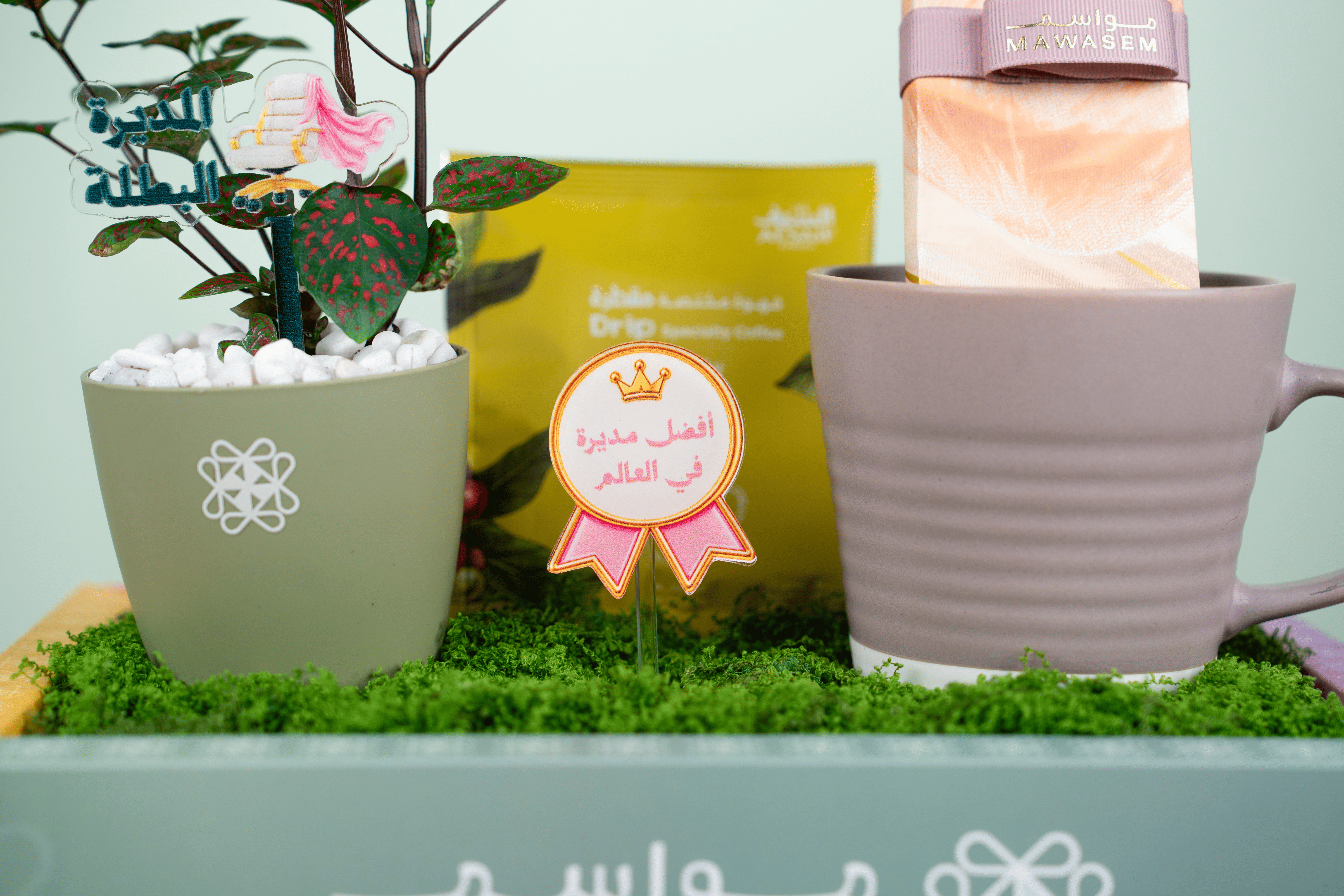 بوكس المديرة البطلة
