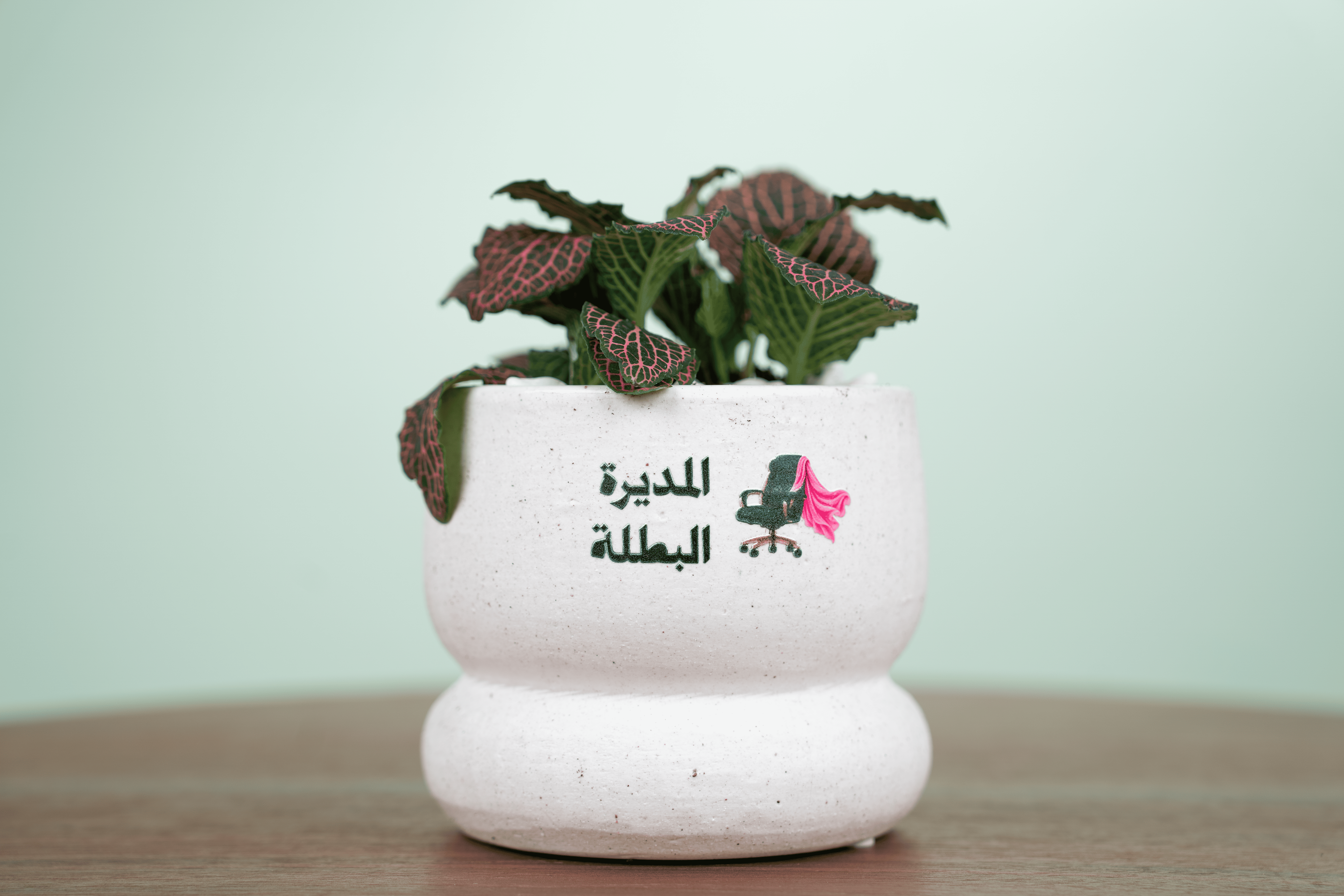 إلهام القيادة