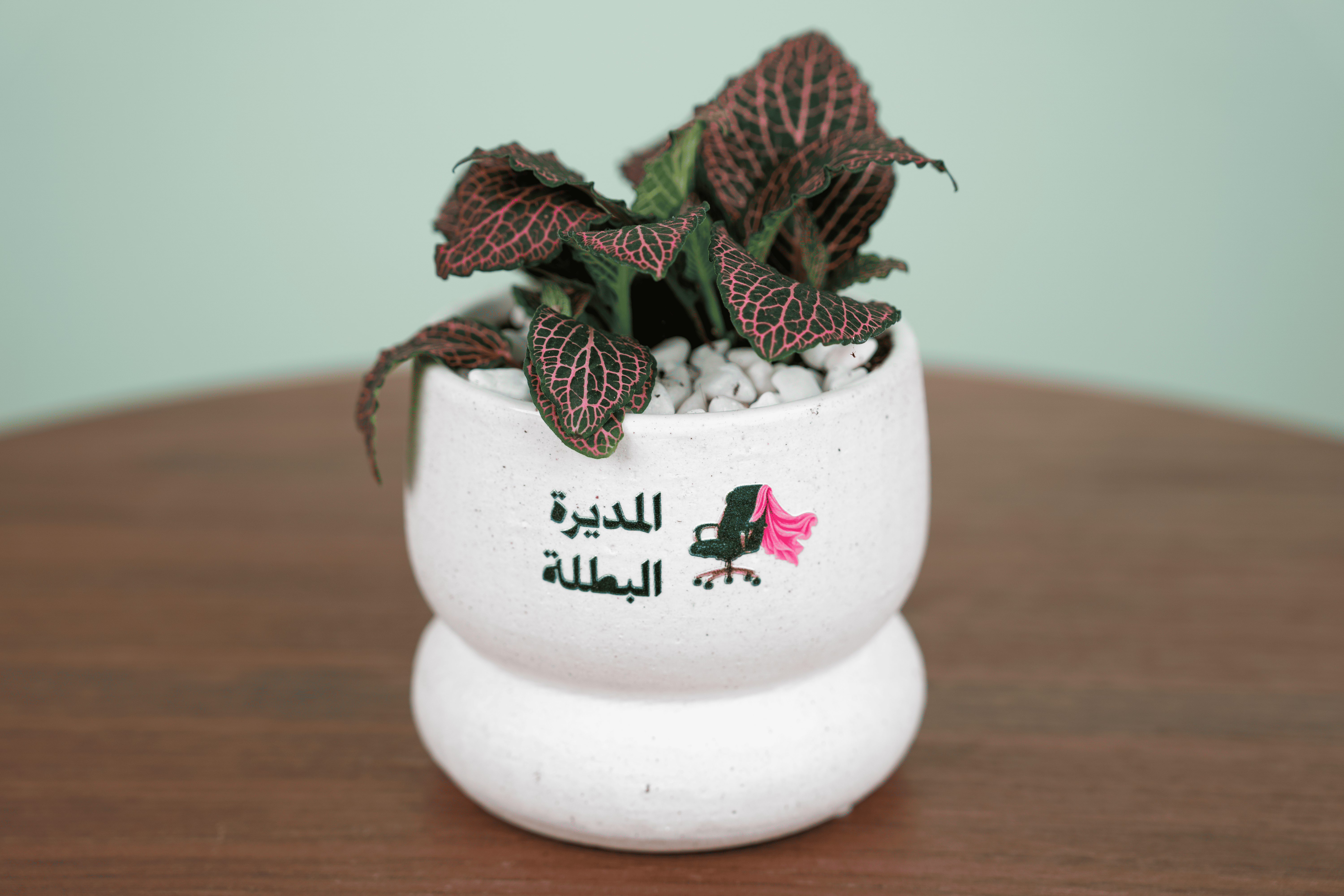 إلهام القيادة