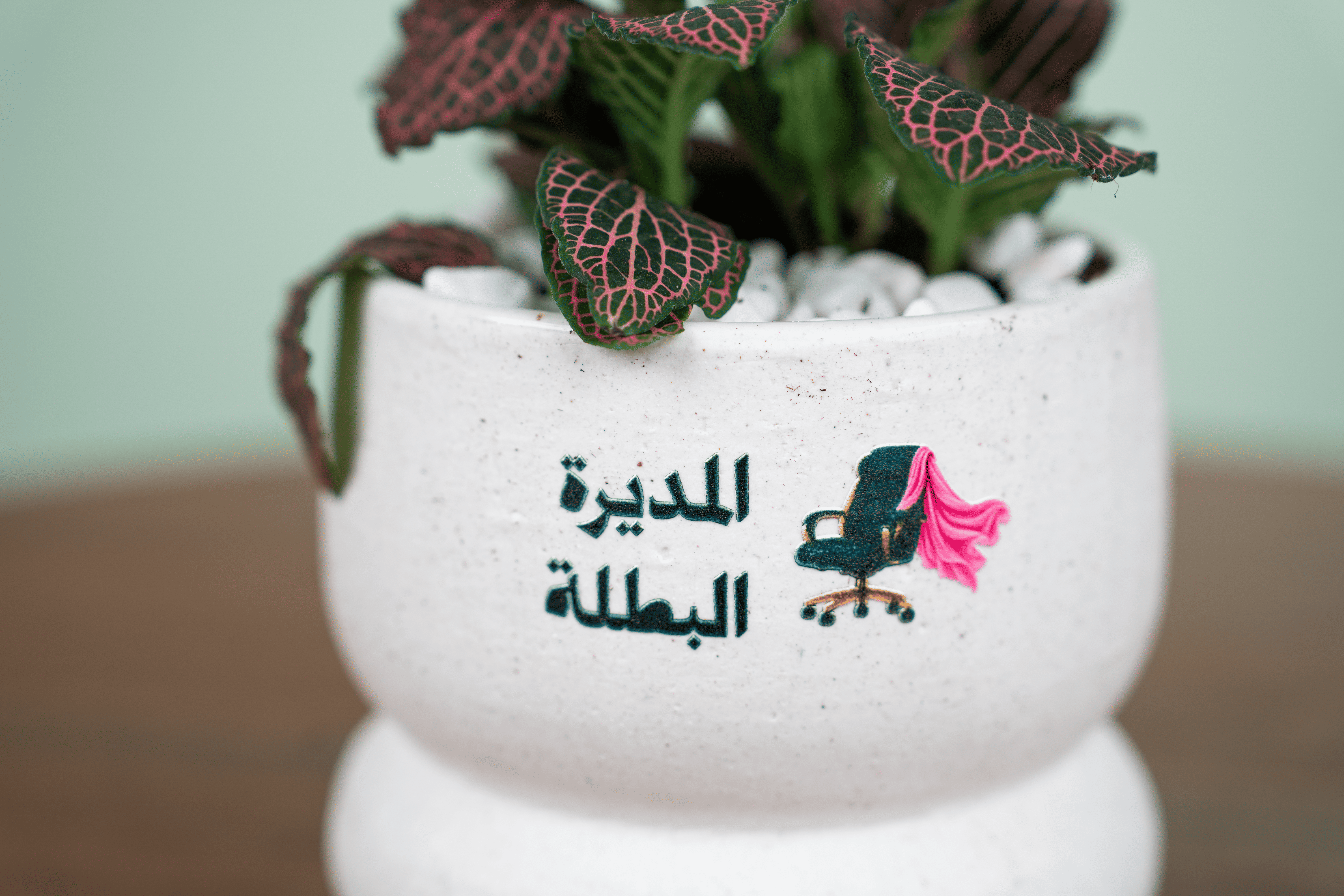 إلهام القيادة