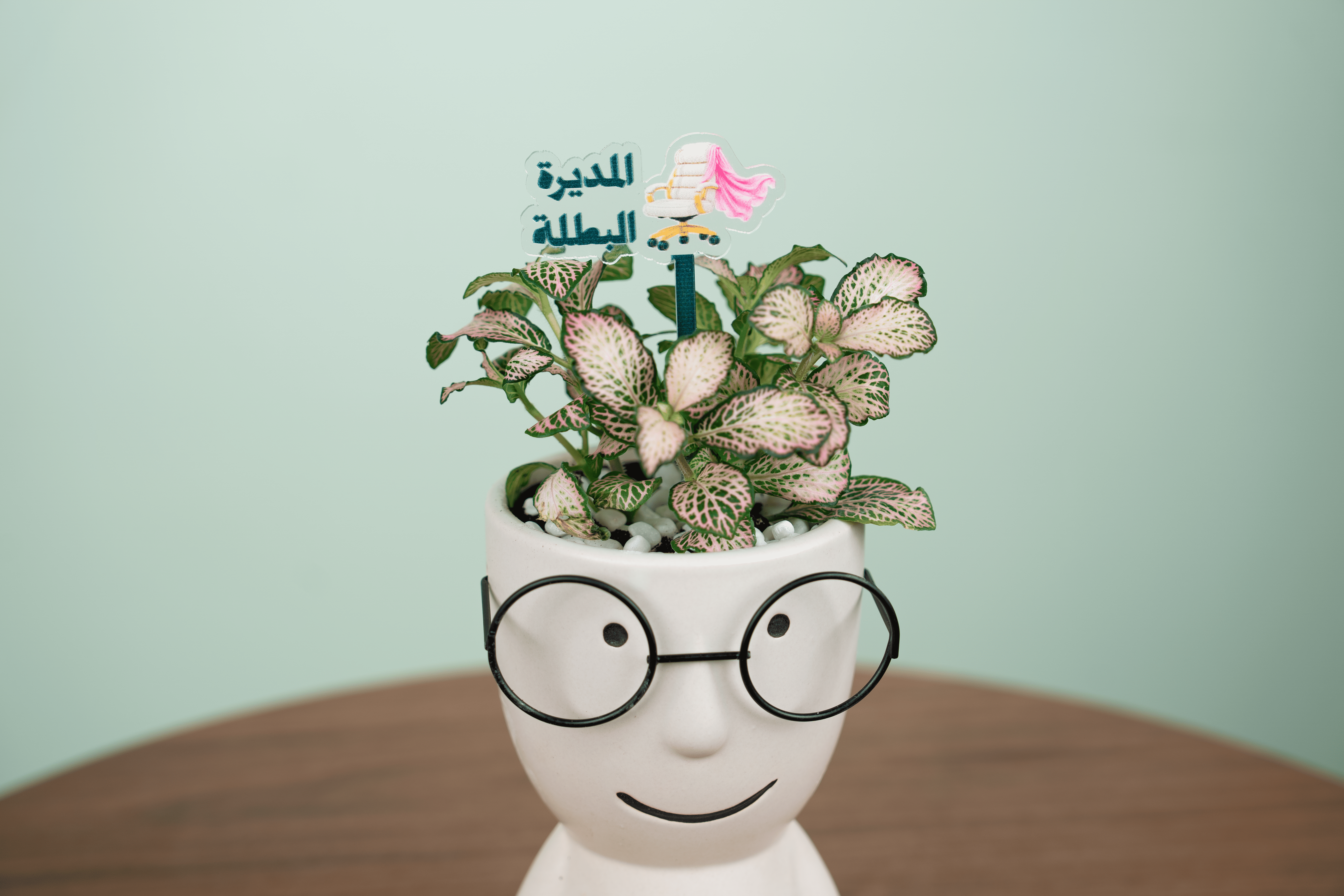 رفيق القيادة