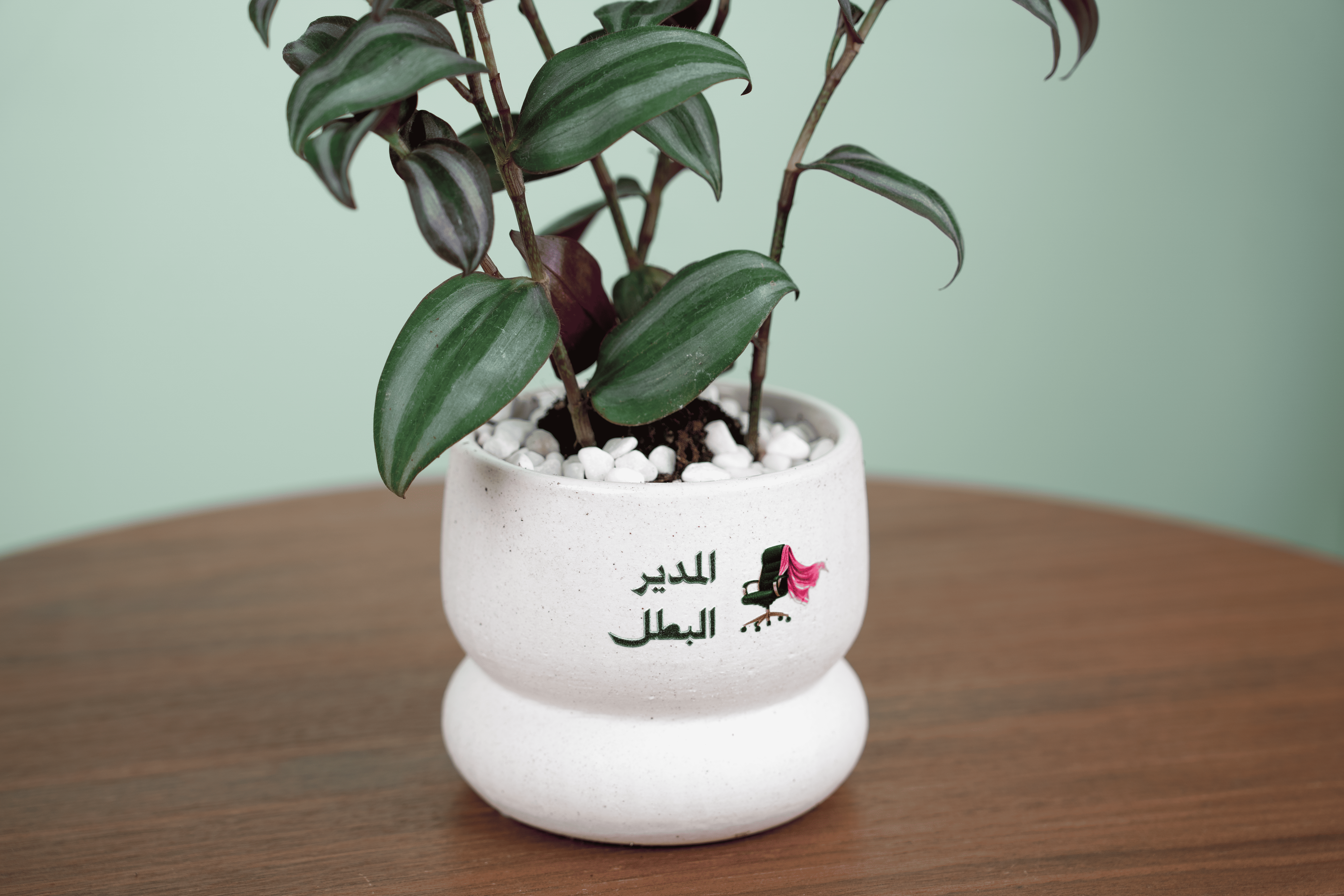 أثر القيادة