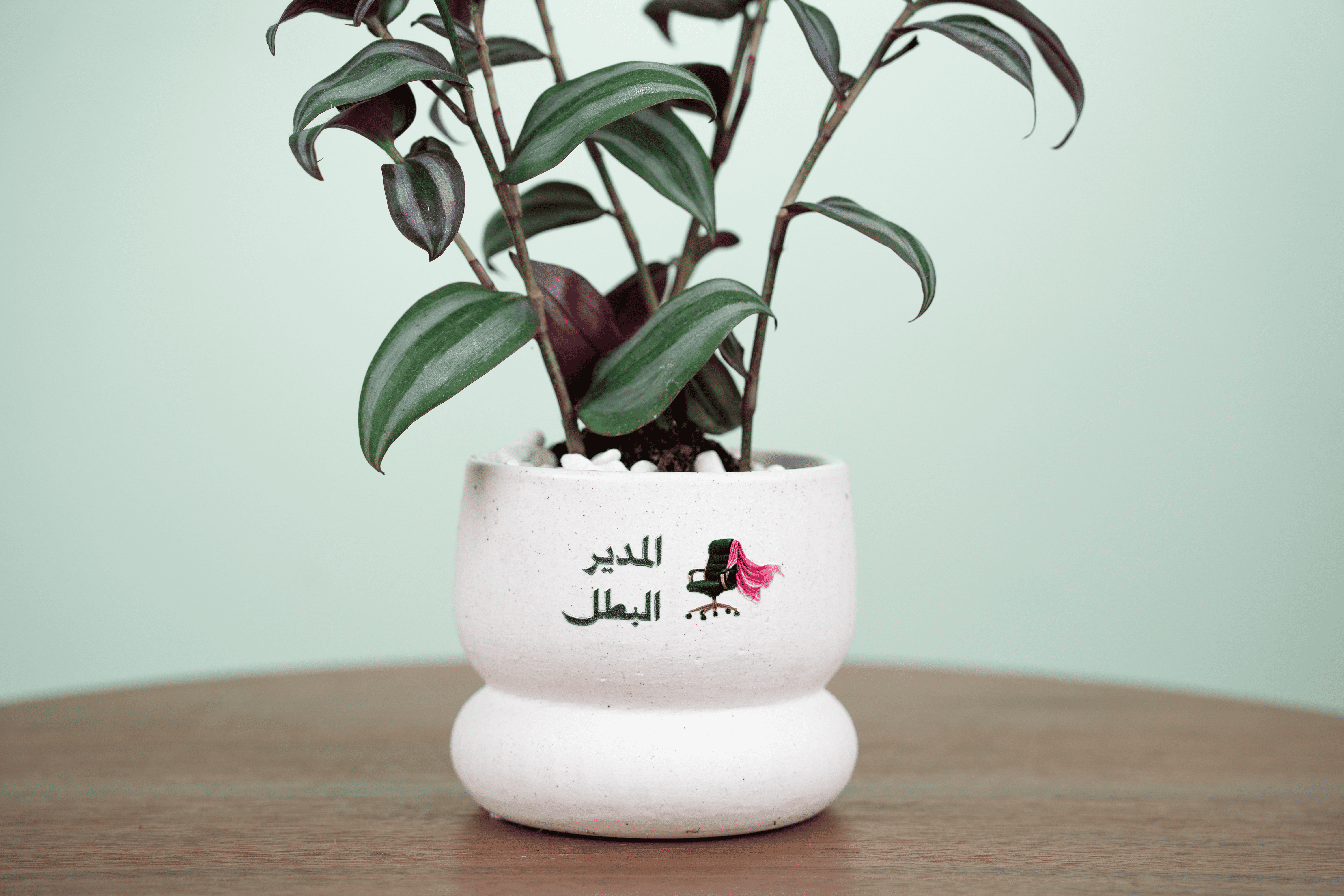 أثر القيادة